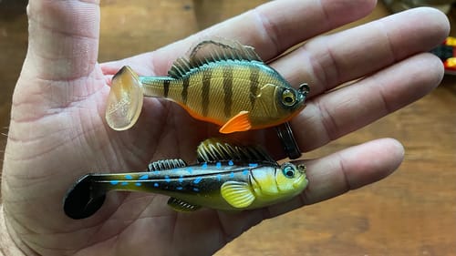 You’re WAY Out Of The Loop If You Aren’t Fishing These Swimbaits…