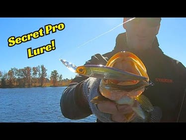 The Berkley Krej Is The Pros Best Kept Secret Fishing Lure!