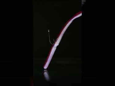 This thing can move!! Would you throw this neko setup?? Featured: Rapala Janitor