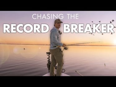 48 Hours In Mosquito Lagoon Chasing A River Monster