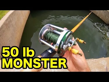 GRANDPAS ANCIENT SETUP catches 50 LB MONSTER!!