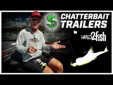 Browning's Top ChatterBait Trailers for Open Water and Cover