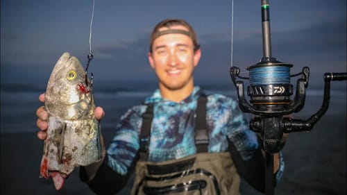 Using Big DEAD Bait For HUGE Fish
