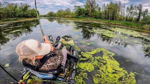 Fishing Lake Dardanelle Backwaters (Tourney Recap)