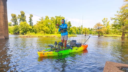 A Perfect New River Loaded with Bass (A Fishermans Dream Location)