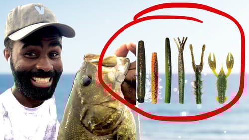 ned rig COLORS for clear water - BASS FISHING