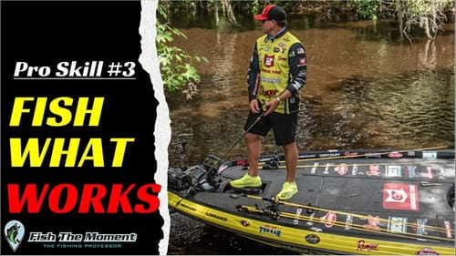 Why Pro Fisherman Catch More Bass Than You #3: Focus on Their Strengths | FTM Live Stream #67