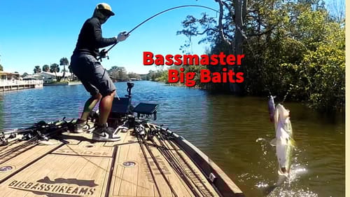 Cast to Catch Crank Down Swimbait 2021 Harris Chain of Lakes Bassmaster Open