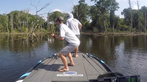 Hot Summer Bass Fishing Techniques and Gun Shots