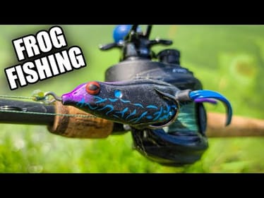 Bank Fishing with the Reaction Innovations Frog | Summer Bass Fishing