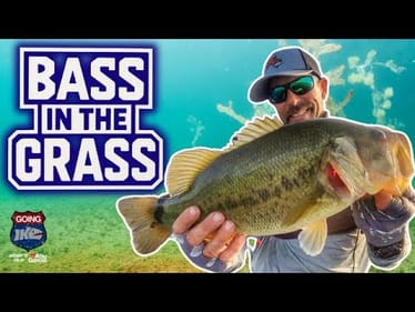 🔥Find Grass Find FISH!! 🎣 Susquehanna Flats FIASCO!