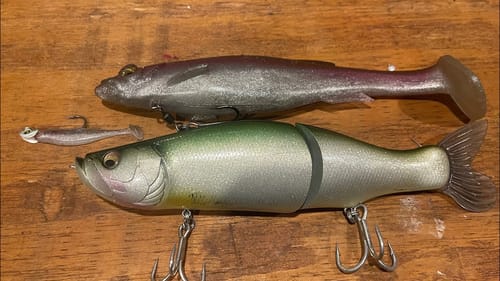 Fact…Most Anglers Suck At Fishing Big Swimbaits In Spring…(How Not To Suck)
