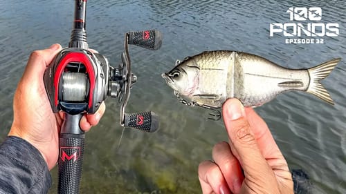 Throwing a SWIMBAIT Saved My Fishing Day! (100 Ponds Ep. 33)