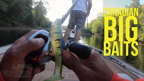 Swimbait Fishing in Canada
