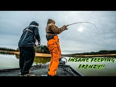 INSANE School Of FEEDING Fish Found on MUDDY LAKE!!!