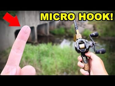 MICRO Hook Fishing Challenge (BIG FISH!)