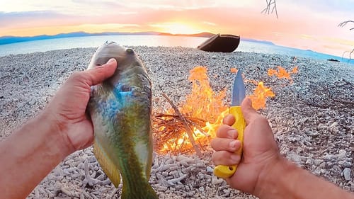 Alone On A Dead Coral Island - Solo Camping An Uninhabited Island - Living From The Ocean - Part 2