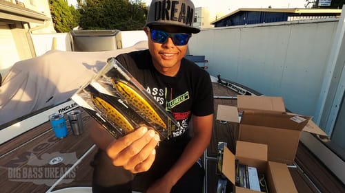 NEW Megabass Respect PM Raigyo Mail Call