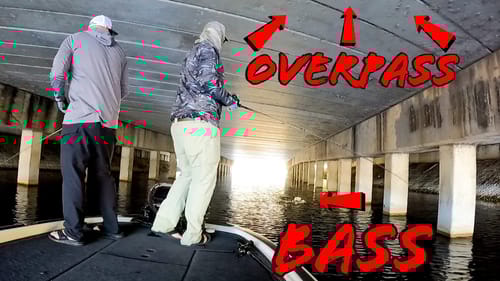 Roadside Fishing For Big Florida Bass With Whopper Ploppers!