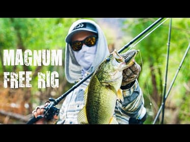 Upsizing The Free Rig? Throwing Magnum Baits On The Free Rig!