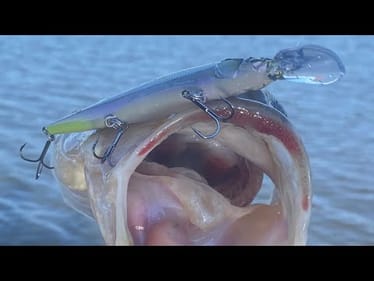 2 Simple Tips To Make Wintertime Bass Bite Jerkbaits On Cloudy vs. Sunny Days