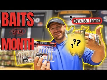 TOP BAITS of the MONTH November 2024 Edition
