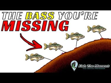 I Almost Missed This Mega School of Bass on My Fish Finder!