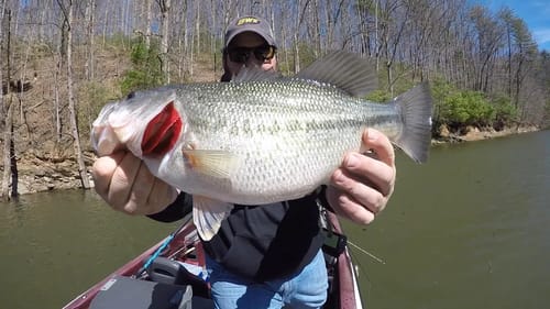 Alabama Rig Advanced Class