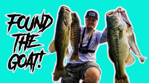 I RAN INTO THE G.O.A.T. WHILE FISHING MY HOME LAKE!