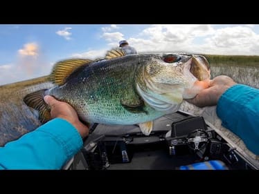 My Biggest Ever on the NEW SWIMBAIT!