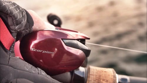 JDM Shimano Scorpian MGL 2019 (Lake Simcoe)