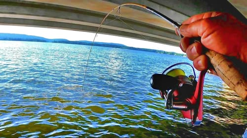 FANTASTIC SUMMERTIME TACTIC!!! Bridge Fishing For Crappie! (Complete Setup)