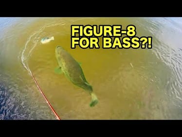 My bait got CRUSHED right at the bank….