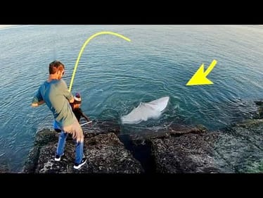 I've been CHASING THIS MONSTER FOR YEARS!!! (MASSIVE)