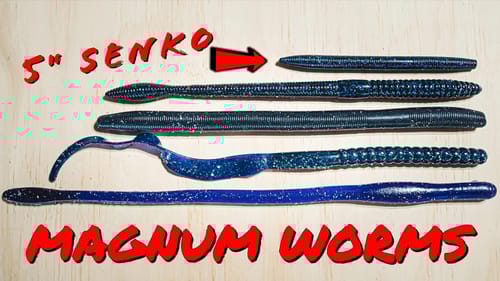 Top 5 Ways To Fish BIG Worms This Summer