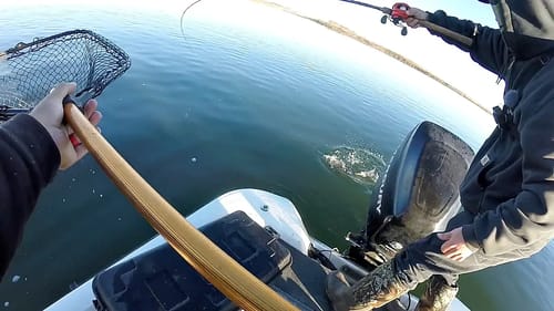 Unexpected TROPHY Fish Catch while Bass Fishing!!!
