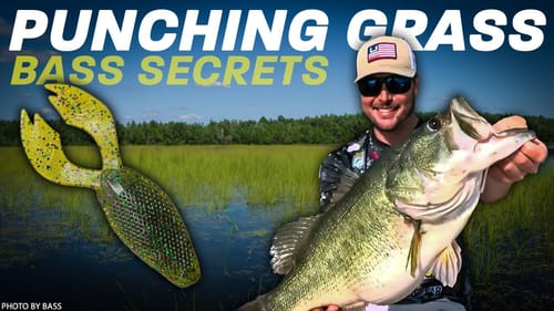 Punching Grass for Big Bass Tackle Tips & Fishing Secrets