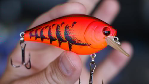 The $1,000,000 Lure.... (IN-DEPTH Squarebills)