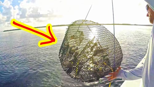 Checking our FISH TRAPS we found THIS?!!
