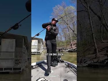 Picasso Lures Spinnerbait gets crushed cast after cast