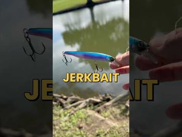 Catching a Monster Bass in a Hidden Pond with a Backlash #fishing