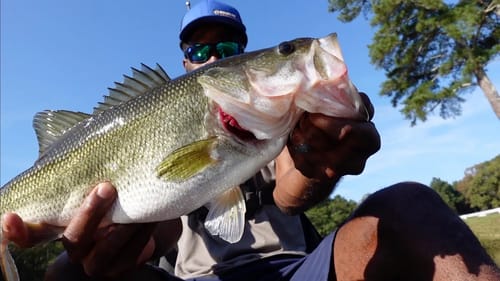 A Nice Day Of Fall Bass Fishing -(Topwater/Crankbaits)