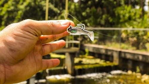 Brackish Cheap Lure MICRO Fishing Challenge