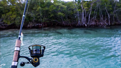 MY FIRST TIME THIS HAS EVER HAPPENED SIGHT FISHING ULTRA CLEAR WATER