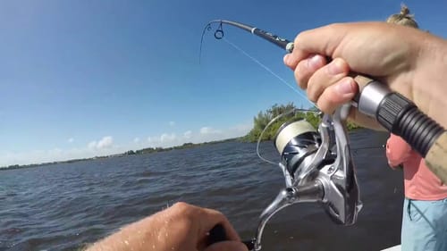Florida Saltwater Fishing for Whatever Bites