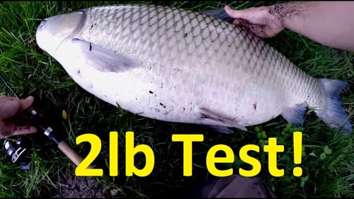 2 Pound Line VS 35 Pound Fish