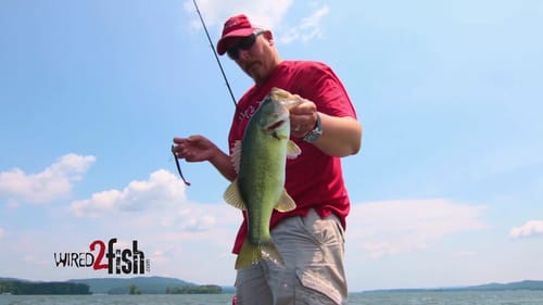 Swimming Worms Through Grass for Bass