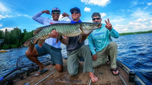 Giant Tiger Musky on Finesse Bass Fishing Gear?! - #BigMuskyDreams #BBDPersonalTraining Session