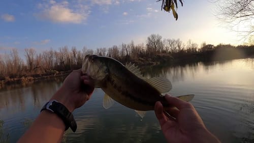 Quick After School Session (Fishing Ponds around Baylor)