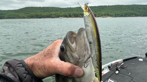 Most Dudes Don’t Know How To Hold A Bass Correctly…